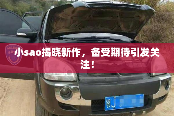 小sao揭晓新作，备受期待引发关注！