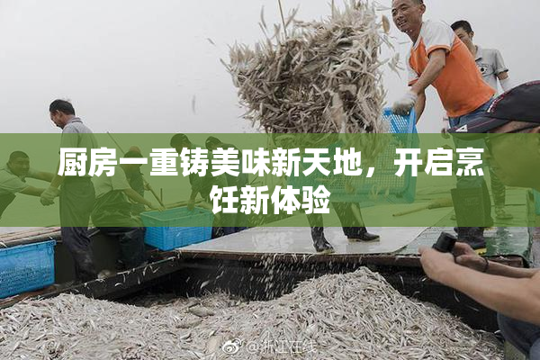 厨房一重铸美味新天地，开启烹饪新体验