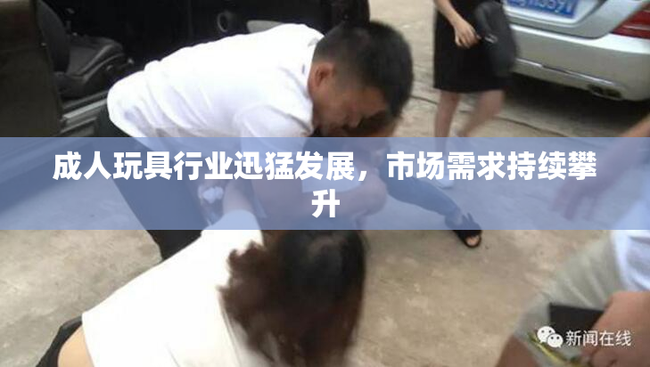 成人玩具行业迅猛发展，市场需求持续攀升