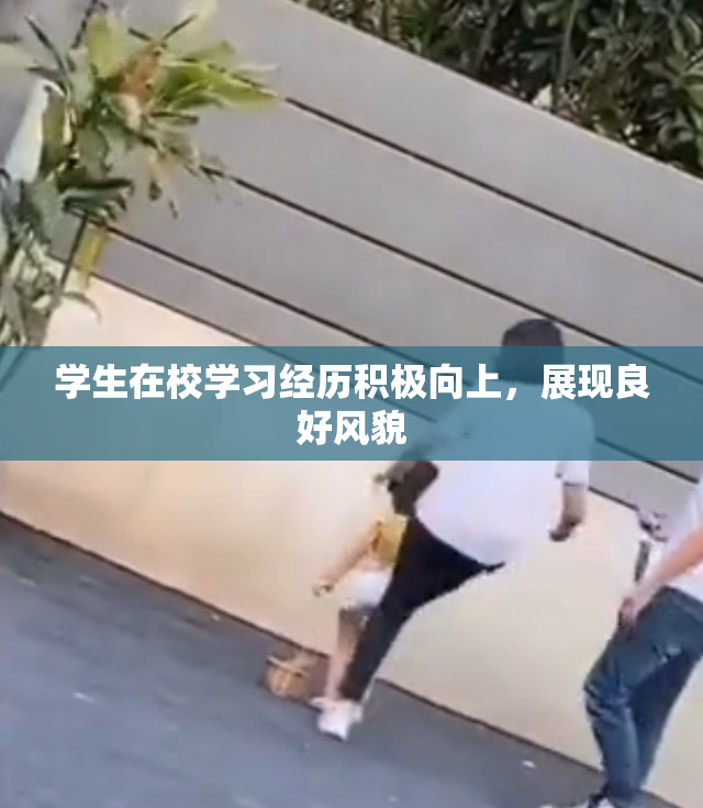 学生在校学习经历积极向上，展现良好风貌