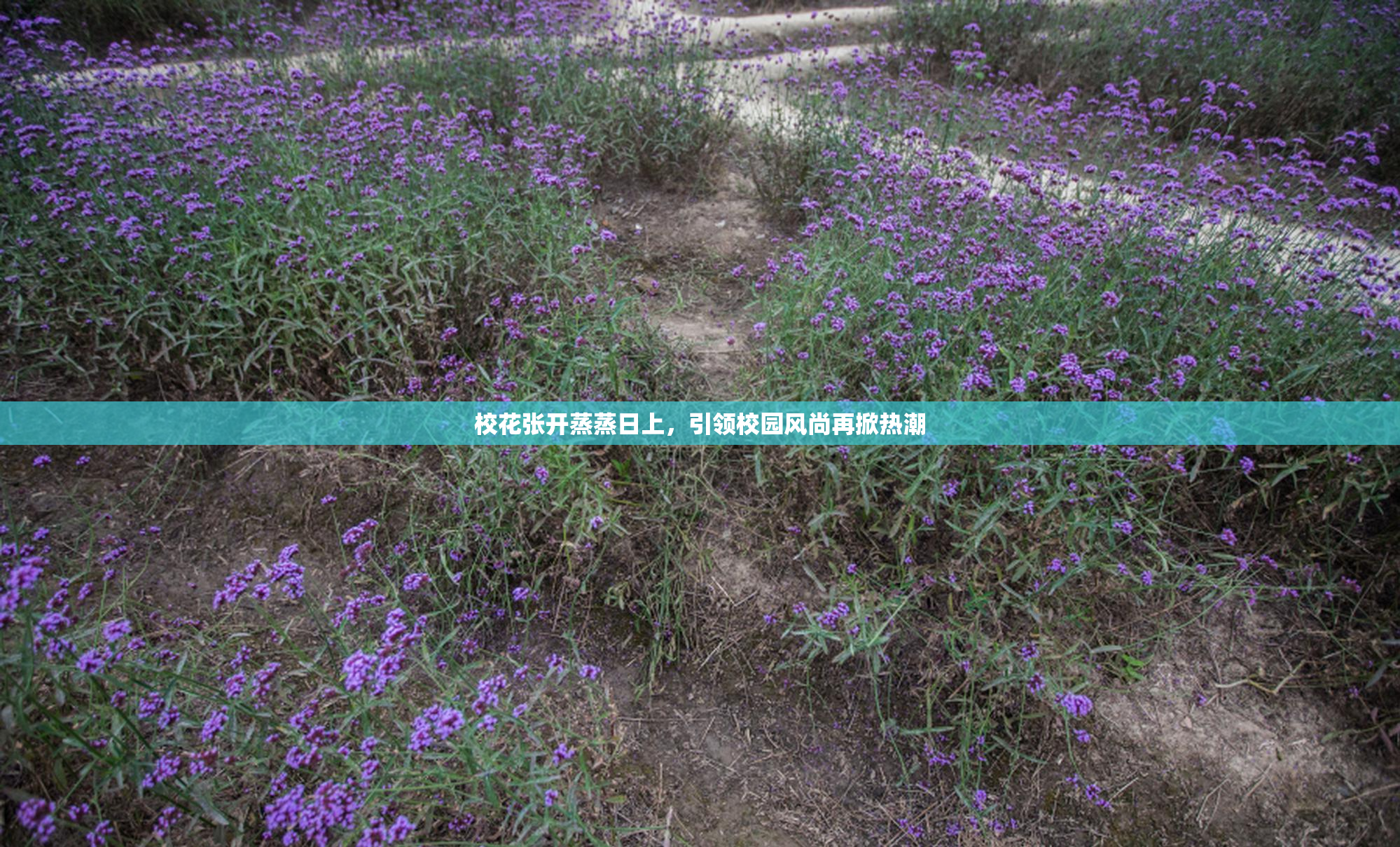 校花张开蒸蒸日上，引领校园风尚再掀热潮
