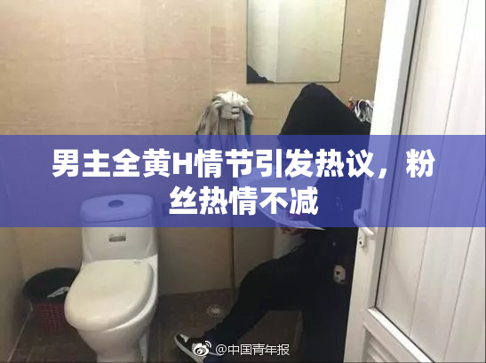 男主全黄H情节引发热议，粉丝热情不减