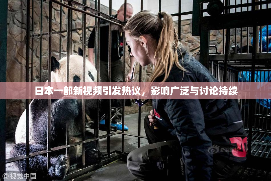 日本一部新视频引发热议，影响广泛与讨论持续