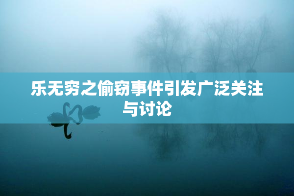乐无穷之偷窃事件引发广泛关注与讨论