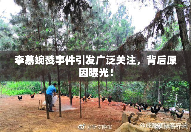 李慕婉戮事件引发广泛关注，背后原因曝光！