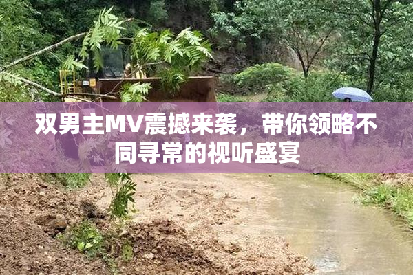 双男主MV震撼来袭，带你领略不同寻常的视听盛宴