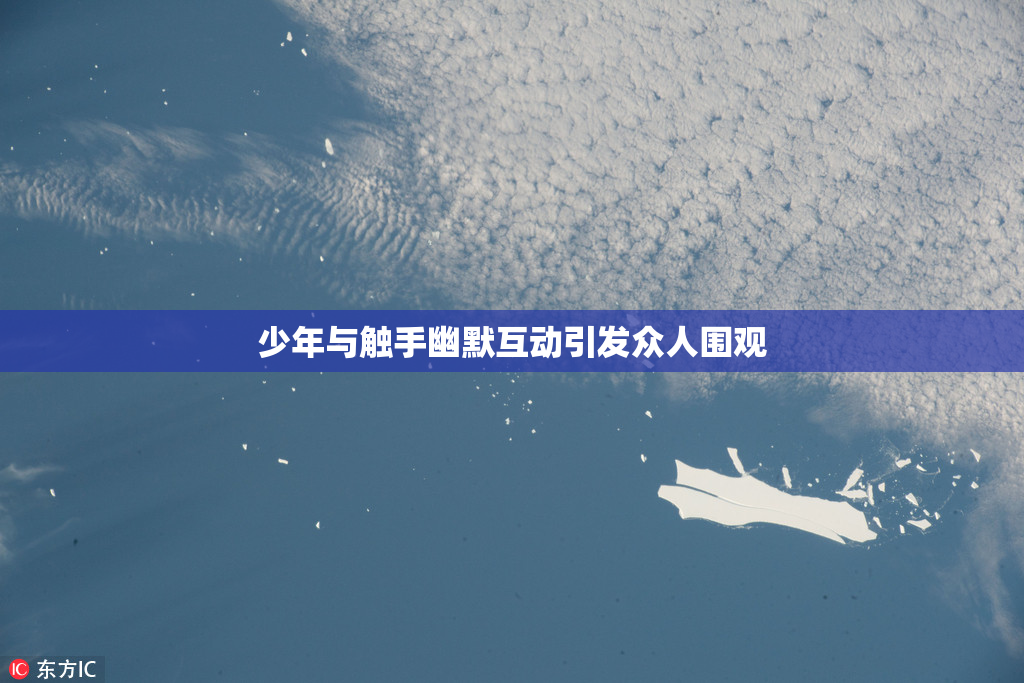 少年与触手幽默互动引发众人围观