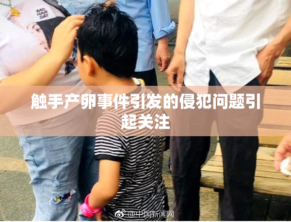 触手产卵事件引发的侵犯问题引起关注