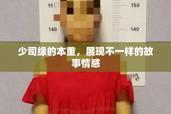 少司缘的本重，展现不一样的故事情感