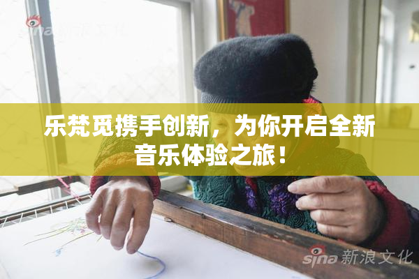 乐梵觅携手创新，为你开启全新音乐体验之旅！
