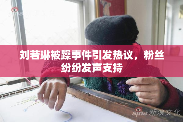 刘若琳被躁事件引发热议，粉丝纷纷发声支持