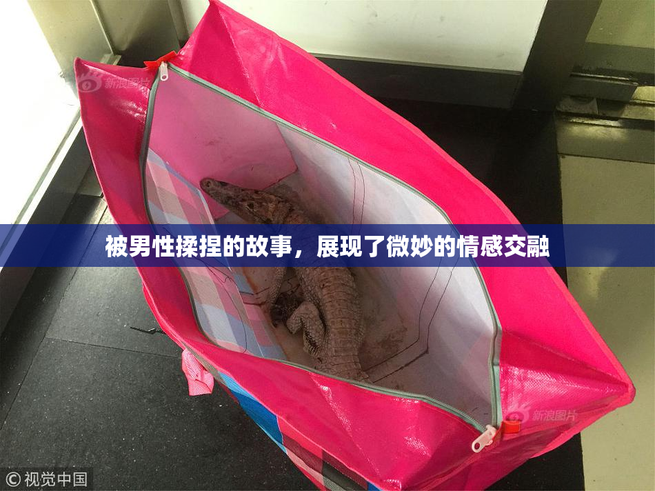 被男性揉捏的故事，展现了微妙的情感交融
