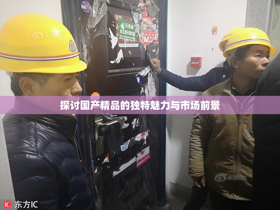 探讨国产精品的独特魅力与市场前景