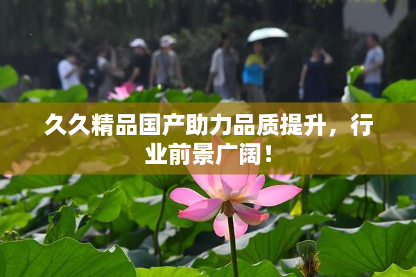 久久精品国产助力品质提升，行业前景广阔！