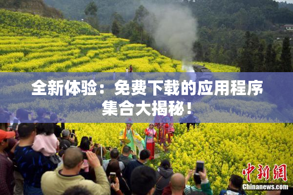 全新体验：免费下载的应用程序集合大揭秘！