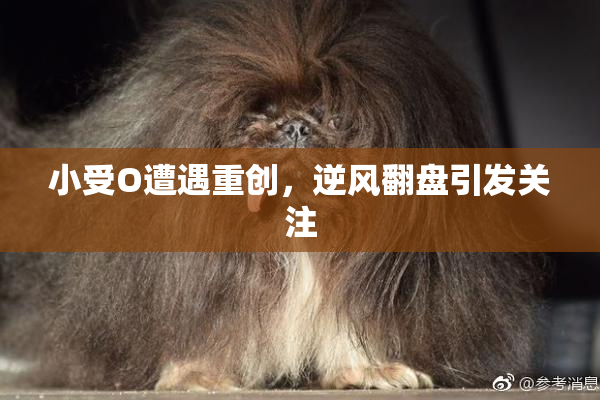 小受O遭遇重创，逆风翻盘引发关注