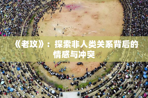 《老攻》：探索非人类关系背后的情感与冲突