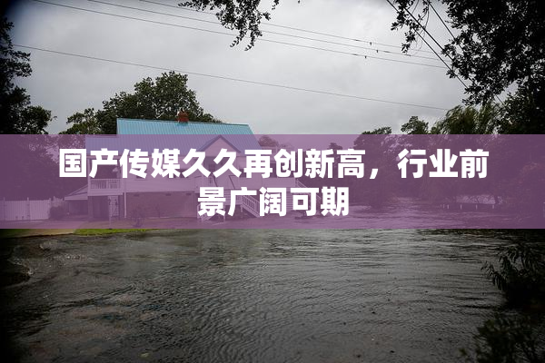 国产传媒久久再创新高，行业前景广阔可期