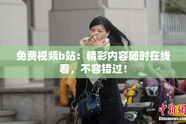 免费视频b站：精彩内容随时在线看，不容错过！