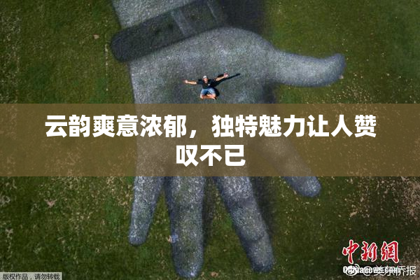 云韵爽意浓郁，独特魅力让人赞叹不已