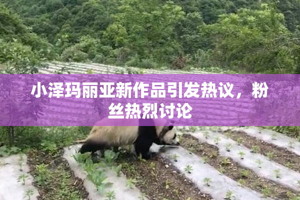 小泽玛丽亚新作品引发热议，粉丝热烈讨论