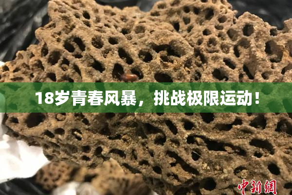 18岁青春风暴，挑战极限运动！