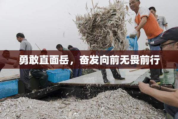 勇敢直面岳，奋发向前无畏前行