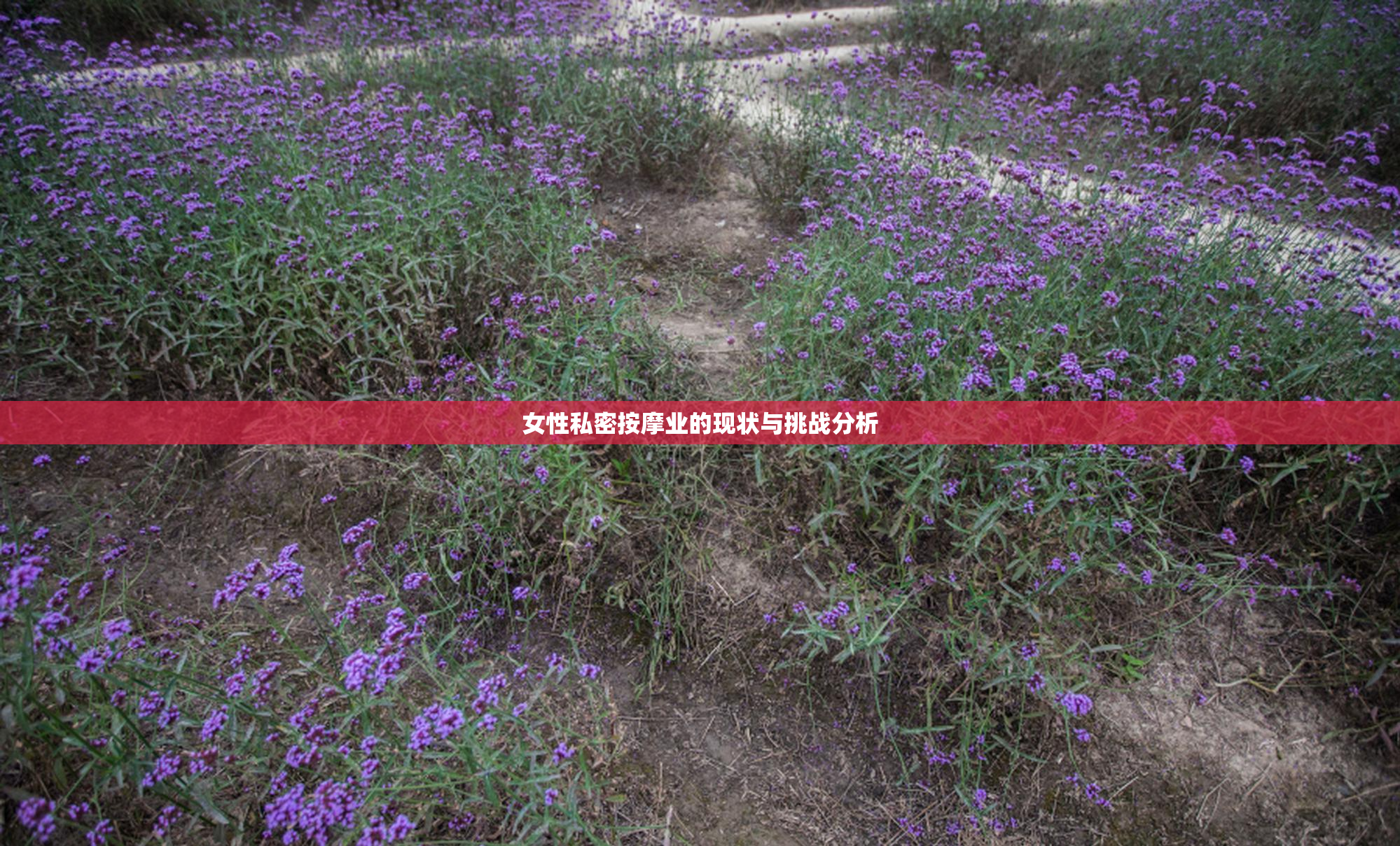 女性私密按摩业的现状与挑战分析