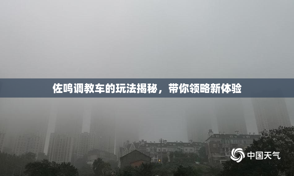 佐鸣调教车的玩法揭秘，带你领略新体验