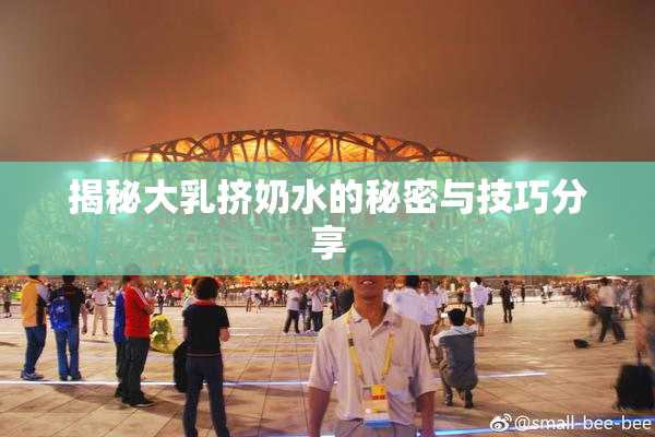 揭秘大乳挤奶水的秘密与技巧分享