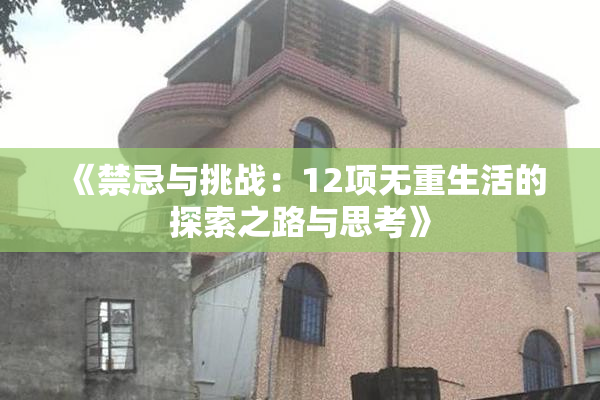《禁忌与挑战：12项无重生活的探索之路与思考》