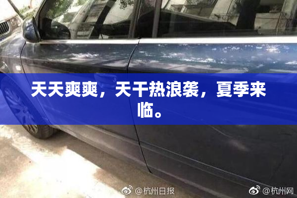 天天爽爽，天干热浪袭，夏季来临。