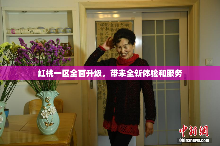 红桃一区全面升级，带来全新体验和服务