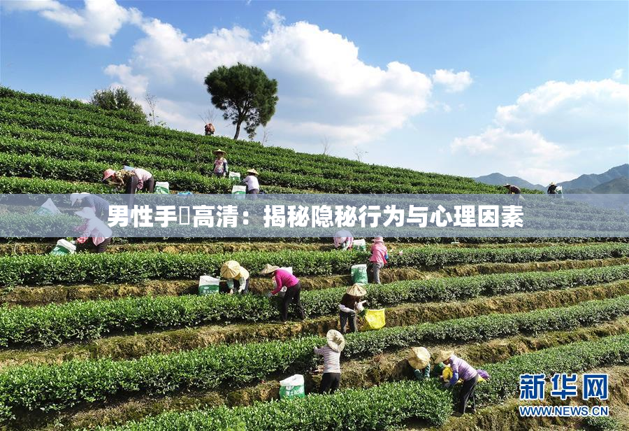男性手婬高清：揭秘隐秘行为与心理因素