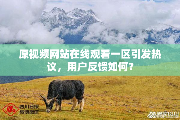 原视频网站在线观看一区引发热议，用户反馈如何？