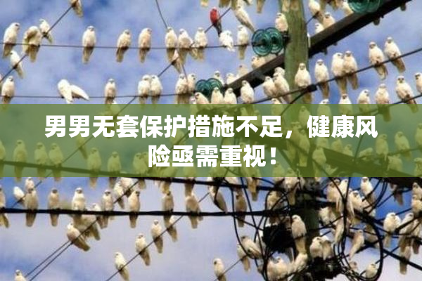 男男无套保护措施不足，健康风险亟需重视！