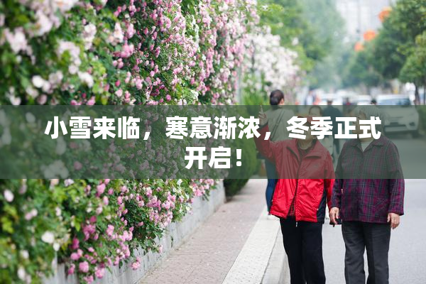 小雪来临，寒意渐浓，冬季正式开启！