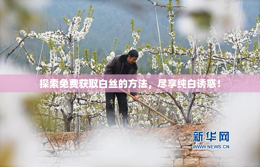 探索免费获取白丝的方法，尽享纯白诱惑！