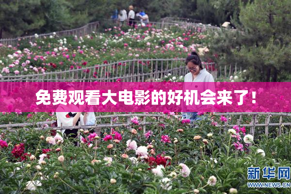 免费观看大电影的好机会来了！