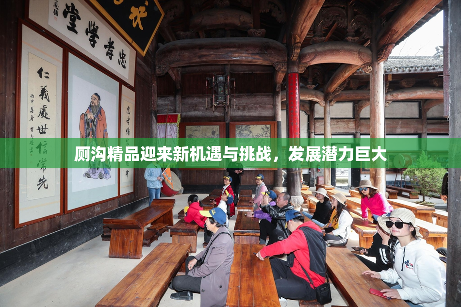 厕沟精品迎来新机遇与挑战，发展潜力巨大