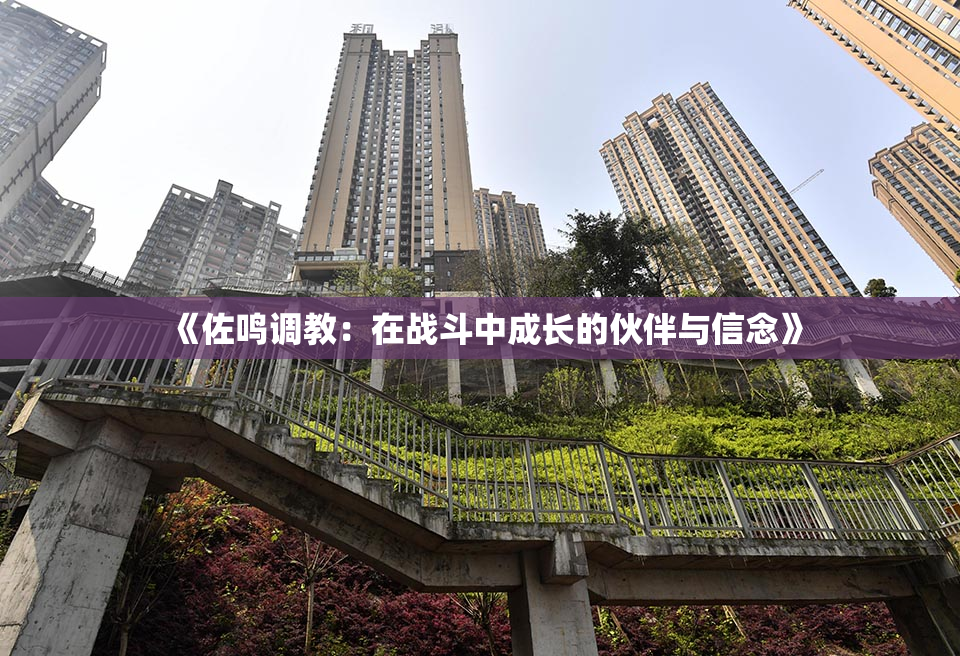 《佐鸣调教：在战斗中成长的伙伴与信念》