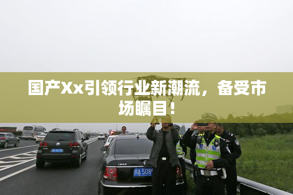 国产Xx引领行业新潮流，备受市场瞩目！