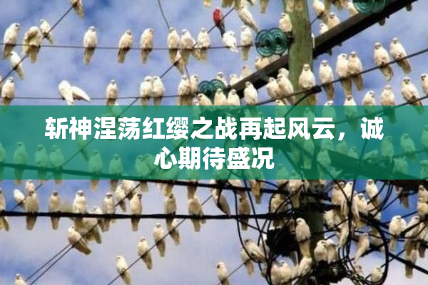 斩神涅荡红缨之战再起风云，诚心期待盛况