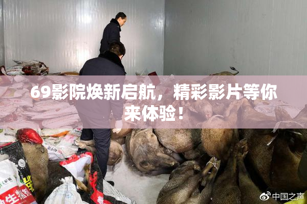 69影院焕新启航，精彩影片等你来体验！