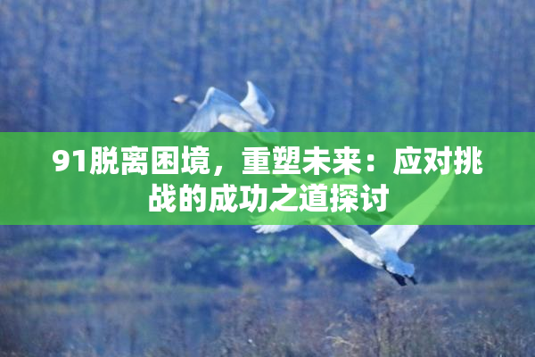 91脱离困境，重塑未来：应对挑战的成功之道探讨