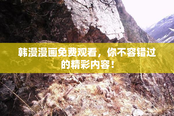 韩漫漫画免费观看，你不容错过的精彩内容！