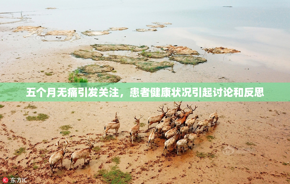 五个月无痛引发关注，患者健康状况引起讨论和反思