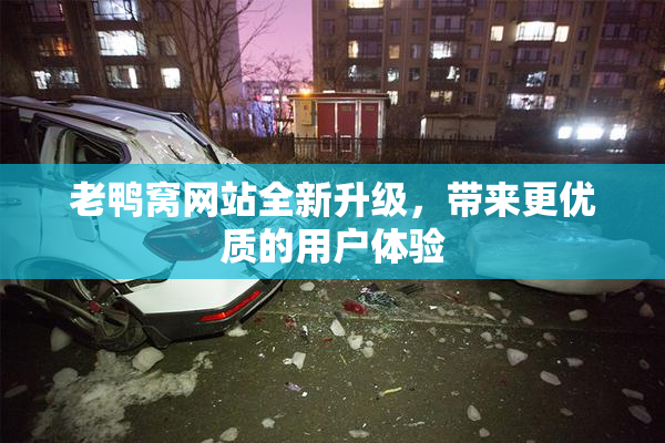 老鸭窝网站全新升级，带来更优质的用户体验