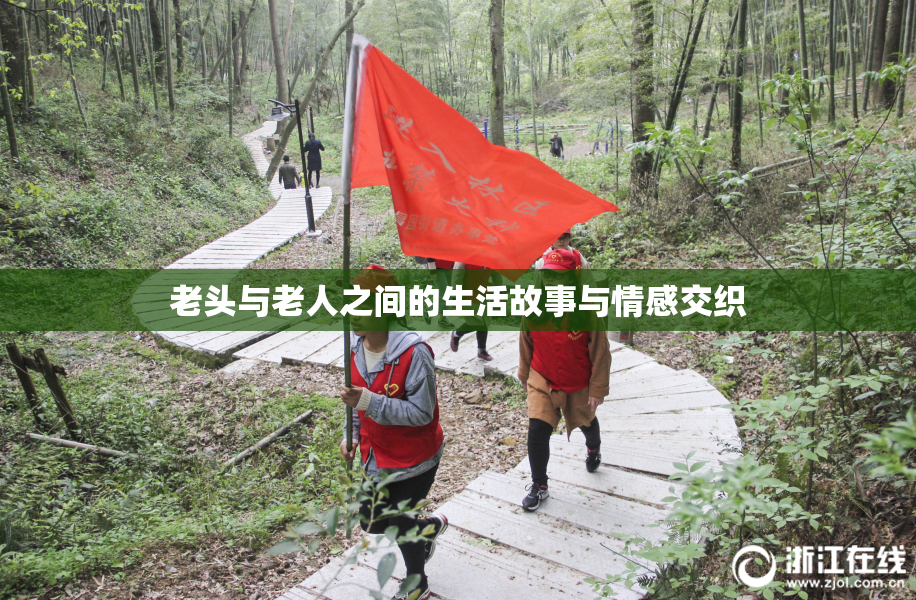 老头与老人之间的生活故事与情感交织