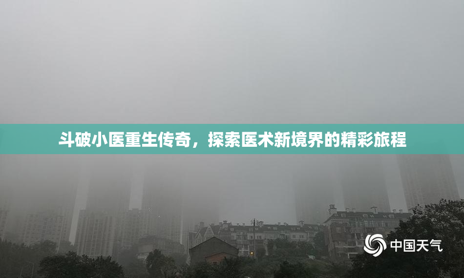 斗破小医重生传奇，探索医术新境界的精彩旅程